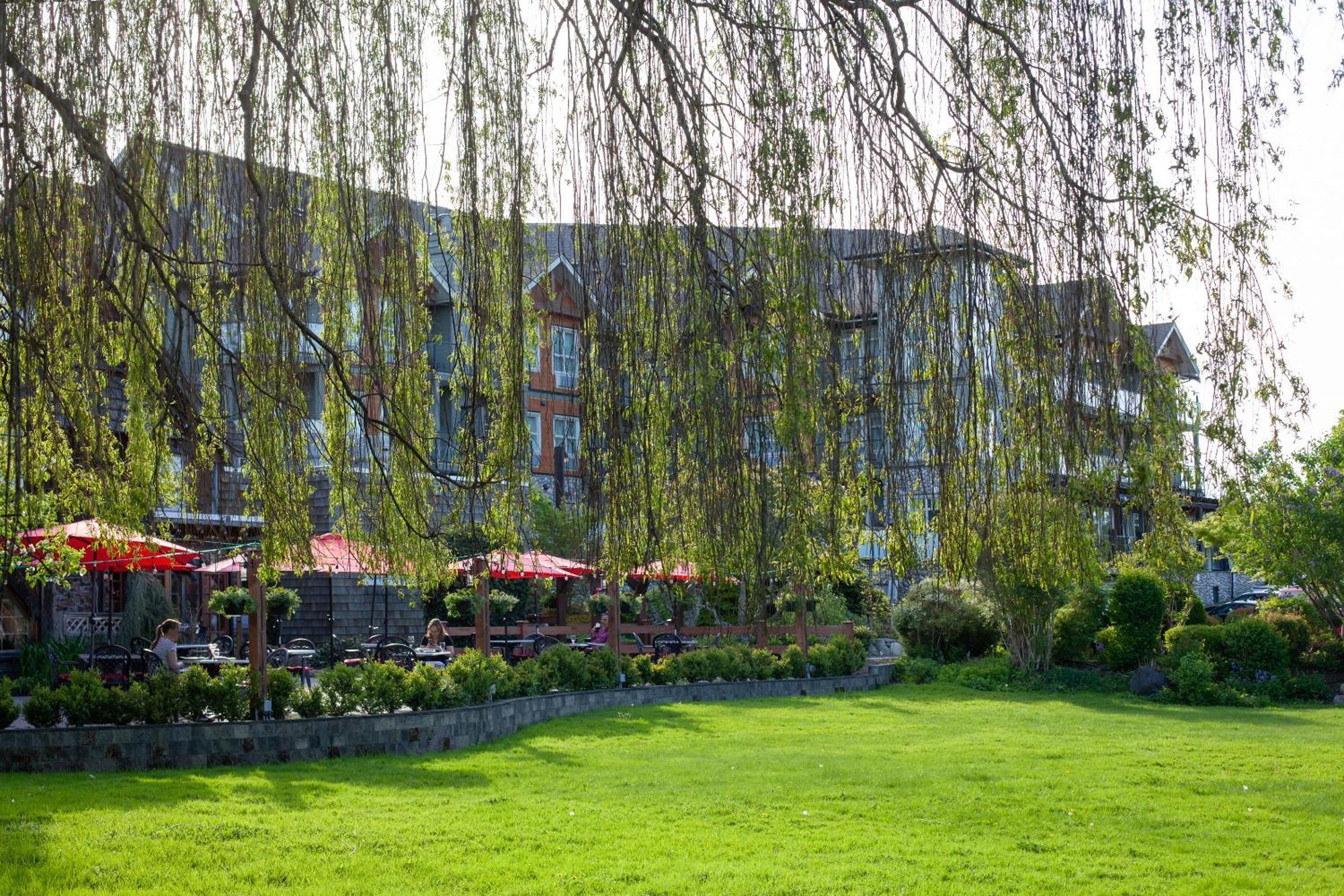 Old House Hotel Courtenay Extérieur photo